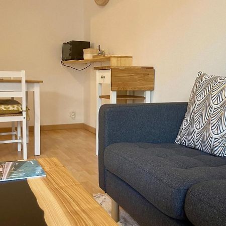 Sully II - Apartment Of 33 Sqm With Parking 400M From Lake Annecy Kültér fotó